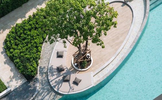 Aerial view of a curved resort pool deck